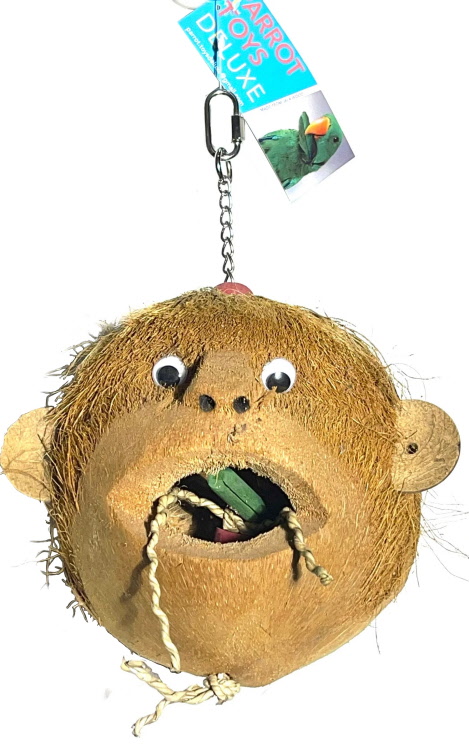 Mr Monkey bird toy